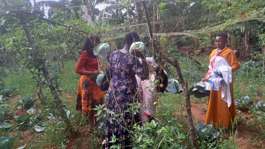 Women in agriculture